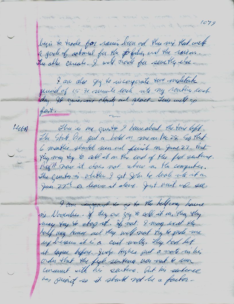 Dr John WorldPeace 2008 Prison Journal